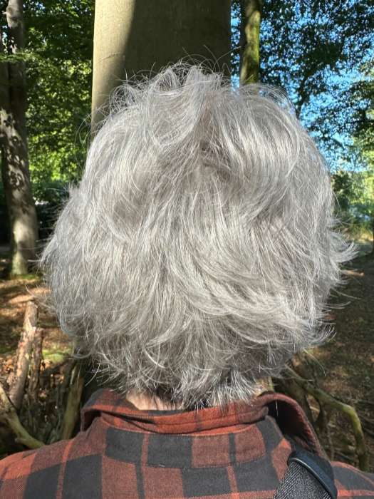 Voltage Petite | Synthetic Wig (Basic Cap) - Image 3