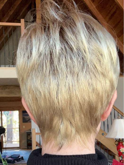 Tiffany | Synthetic Wig (Basic Cap) - Image 6